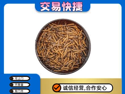 海南省白沙县高价回收散虫草