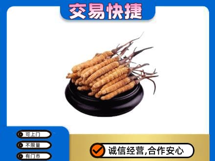 海南省白沙县礼品回收散虫草.jpg